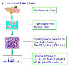 image:Workflow1.png