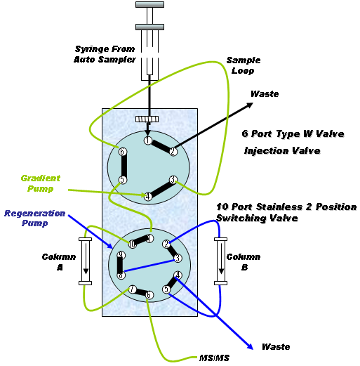 Plumbing of valve diagram showing flow for each selected column with the regeneration of the analytical column while the other is engaged with the LCMS system